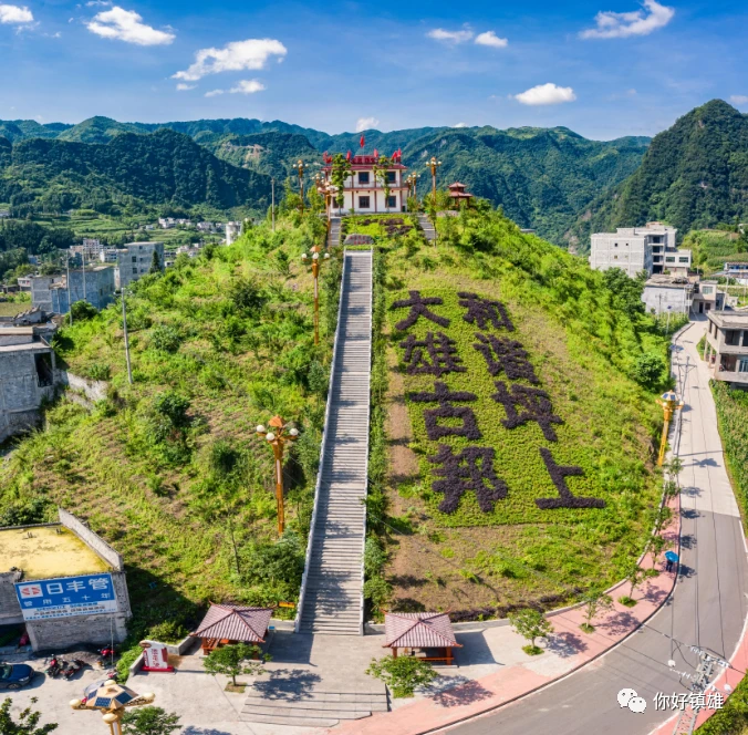 2020年篮球训练总结与反思作文_1