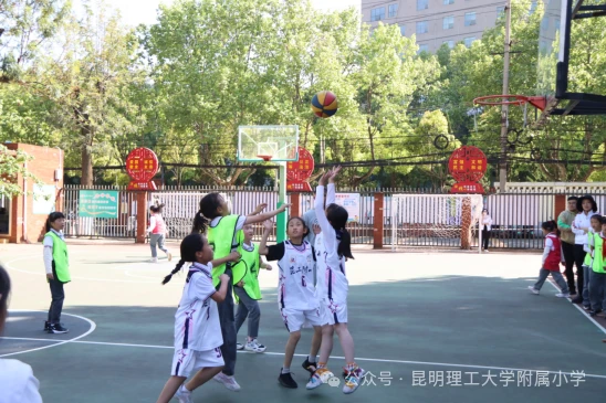 如何借助专业篮球教练提升个人声誉_2